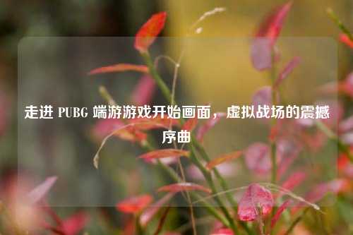 走进 PUBG 端游游戏开始画面，虚拟战场的震撼序曲