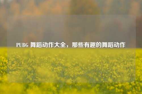 PUBG 舞蹈动作大全,那些有趣的舞蹈动作