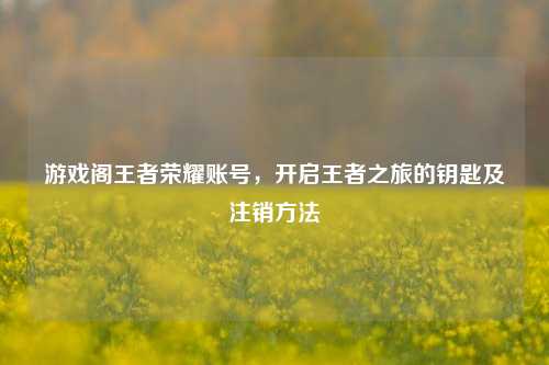 游戏阁王者荣耀账号,开启王者之旅的钥匙及注销方法