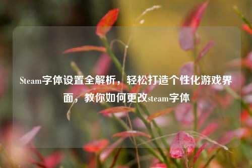 Steam字体设置全解析，轻松打造个性化游戏界面，教你如何更改steam字体