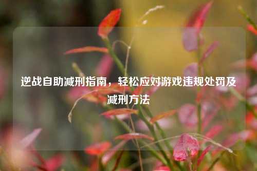 逆战自助减刑指南，轻松应对游戏违规处罚及减刑方法