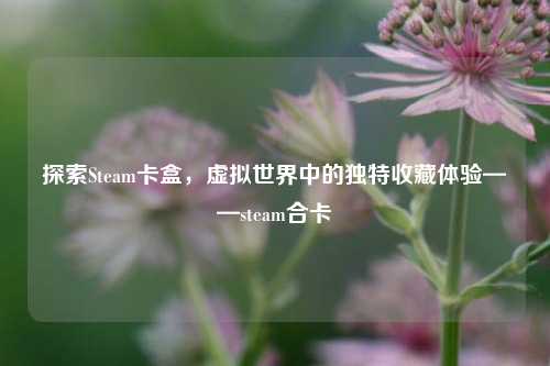探索Steam卡盒,虚拟世界中的独特收藏体验——steam合卡
