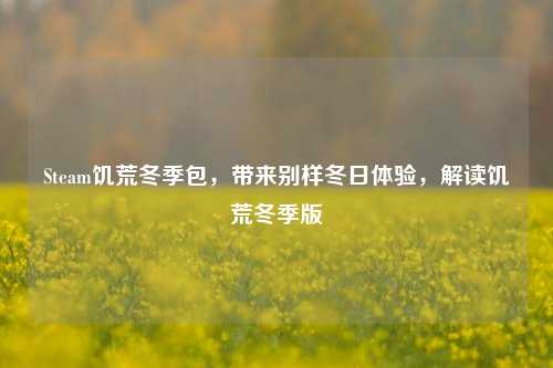 Steam饥荒冬季包，带来别样冬日体验，解读饥荒冬季版