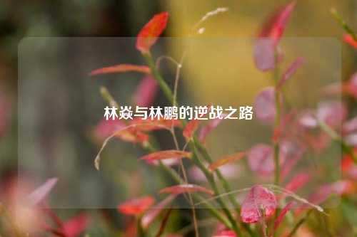 林焱与林鹏的逆战之路