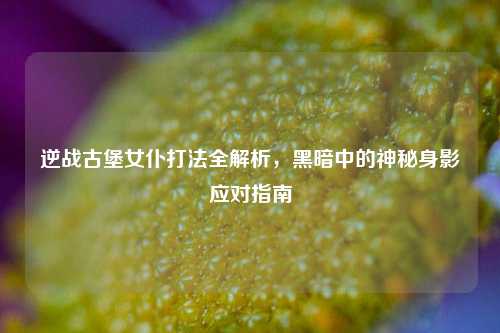 逆战古堡女仆打法全解析,黑暗中的神秘身影应对指南