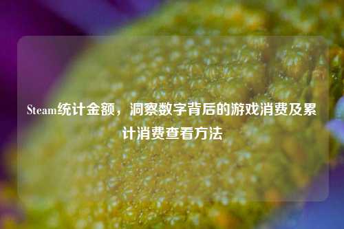 Steam统计金额,洞察数字背后的游戏消费及累计消费查看方法