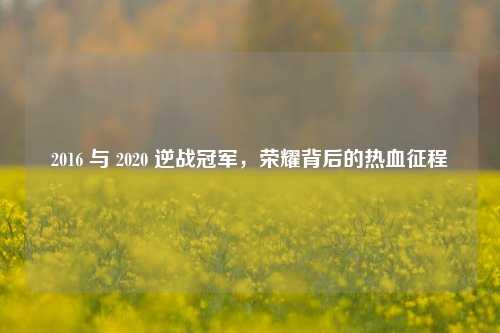 2016 与 2020 逆战冠军,荣耀背后的热血征程
