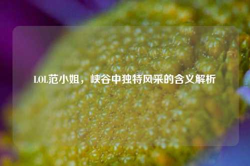 LOL范小姐，峡谷中独特风采的含义解析