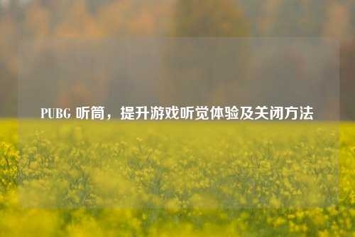PUBG 听筒，提升游戏听觉体验及关闭方法