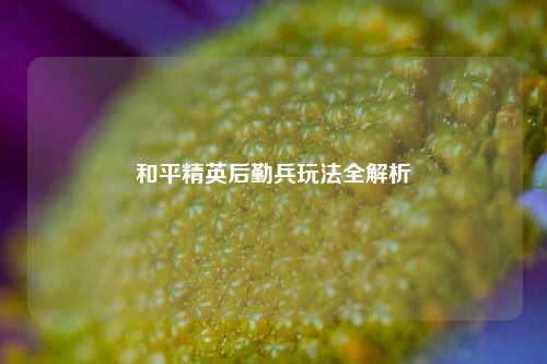 和平精英后勤兵玩法全解析