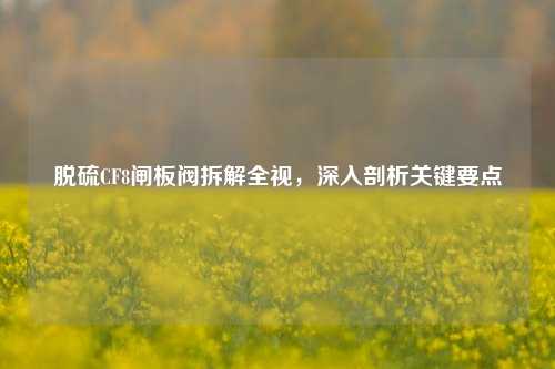 脱硫CF8闸板阀拆解全视,深入剖析关键要点