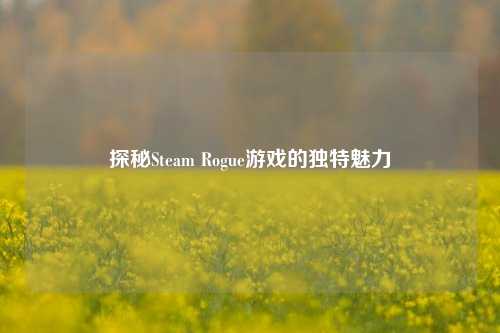 探秘Steam Rogue游戏的独特魅力