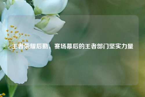 王者荣耀后勤,赛场幕后的王者部门坚实力量