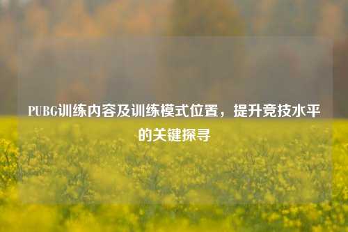 PUBG训练内容及训练模式位置,提升竞技水平的关键探寻