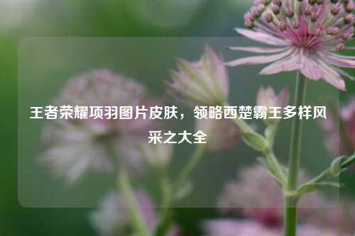 王者荣耀项羽图片皮肤,领略西楚霸王多样风采之大全