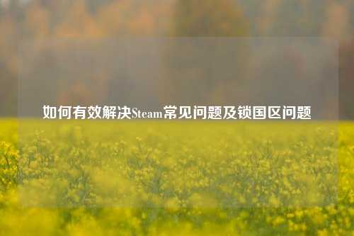 如何有效解决Steam常见问题及锁国区问题