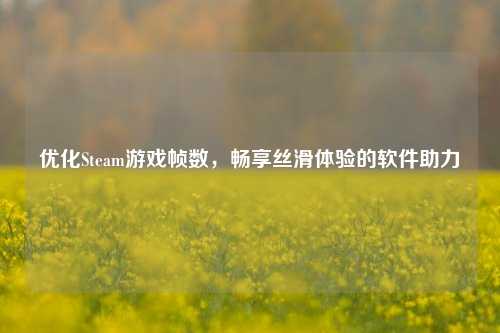 优化Steam游戏帧数，畅享丝滑体验的软件助力