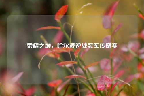 荣耀之巅，哈尔滨逆战冠军传奇赛