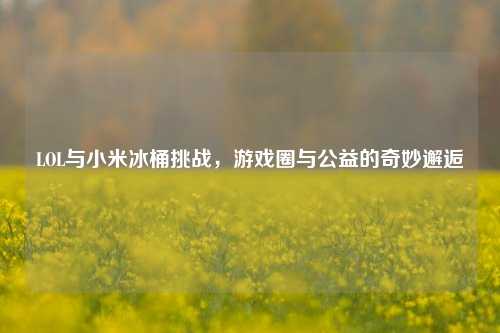 LOL与小米冰桶挑战,游戏圈与公益的奇妙邂逅
