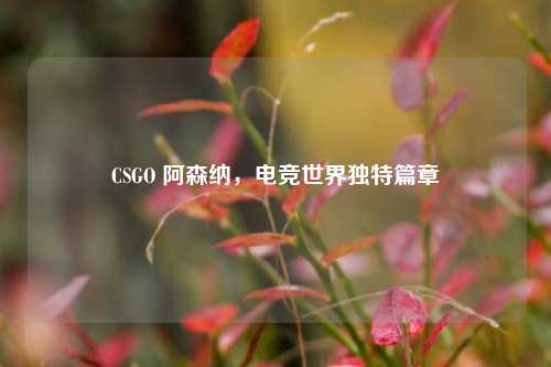CSGO 阿森纳,电竞世界独特篇章