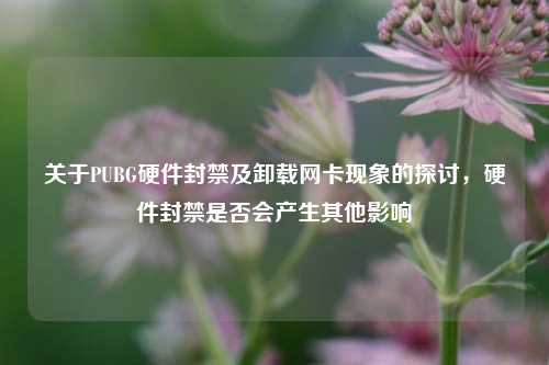 关于PUBG硬件封禁及卸载网卡现象的探讨，硬件封禁是否会产生其他影响