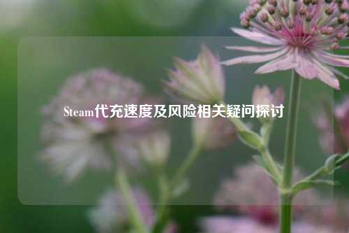 Steam代充速度及风险相关疑问探讨