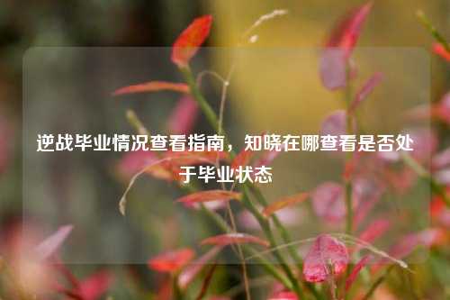 逆战毕业情况查看指南,知晓在哪查看是否处于毕业状态