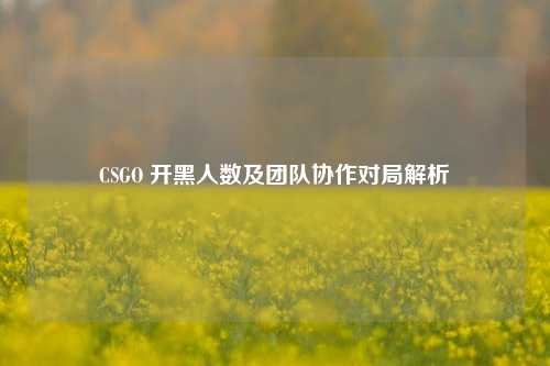 CSGO 开黑人数及团队协作对局解析