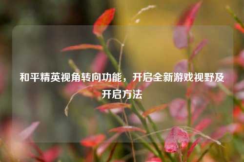 和平精英视角转向功能,开启全新游戏视野及开启方法