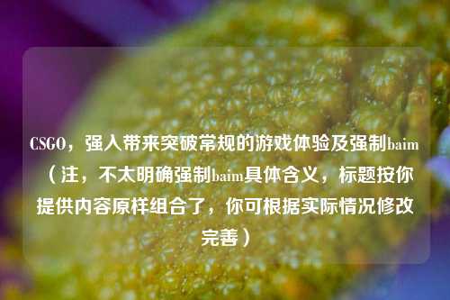 CSGO，强入带来突破常规的游戏体验及强制baim （注，不太明确强制baim具体含义，标题按你提供内容原样组合了，你可根据实际情况修改完善）
