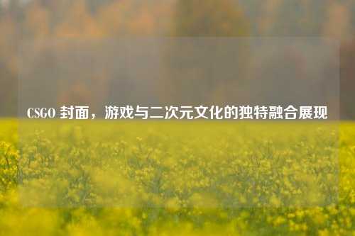 CSGO 封面,游戏与二次元文化的独特融合展现