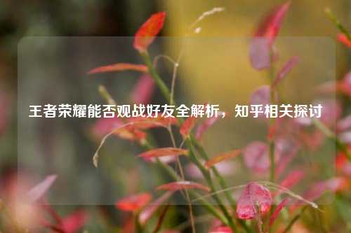 王者荣耀能否观战好友全解析,知乎相关探讨
