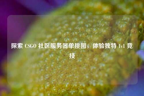 探索 CSGO 社区服务器单挑图,体验独特 1v1 竞技