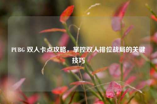 PUBG 双人卡点攻略,掌控双人排位战局的关键技巧