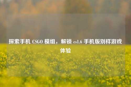 探索手机 CSGO 模组,解锁 cs1.6 手机版别样游戏体验