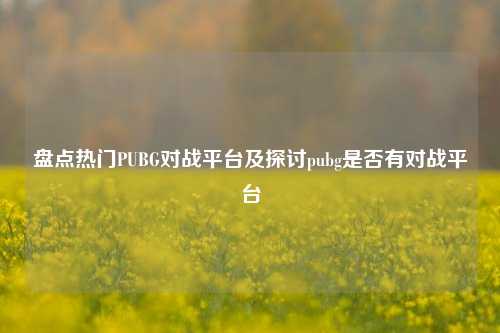 盘点热门PUBG对战平台及探讨pubg是否有对战平台