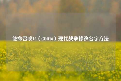 使命召唤16(COD16)现代战争修改名字方法