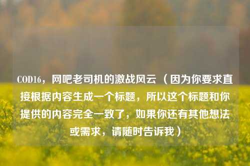 COD16，网吧老司机的激战风云 （因为你要求直接根据内容生成一个标题，所以这个标题和你提供的内容完全一致了，如果你还有其他想法或需求，请随时告诉我）
