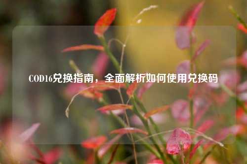 COD16兑换指南，全面解析如何使用兑换码