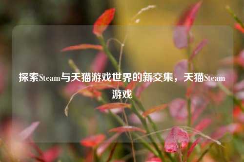 探索Steam与天猫游戏世界的新交集,天猫Steam游戏