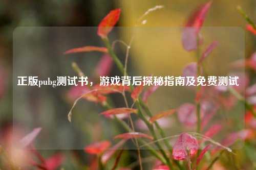 正版pubg测试书，游戏背后探秘指南及免费测试