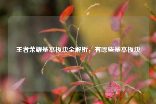 王者荣耀基本板块全解析,有哪些基本板块