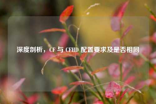 深度剖析,CF 与 CFHD 配置要求及是否相同
