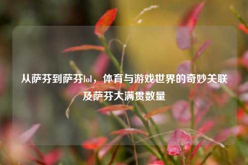 从萨芬到萨芬lol，体育与游戏世界的奇妙关联及萨芬大满贯数量