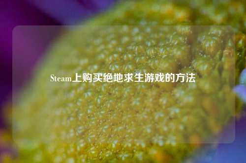 Steam上购买绝地求生游戏的方法