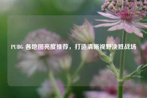 PUBG 各地图亮度推荐,打造清晰视野决胜战场