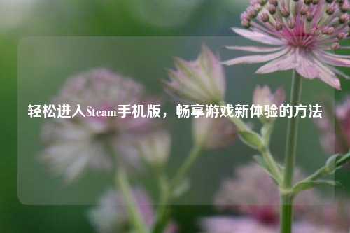 轻松进入Steam手机版,畅享游戏新体验的方法