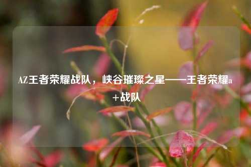 AZ王者荣耀战队，峡谷璀璨之星——王者荣耀a+战队