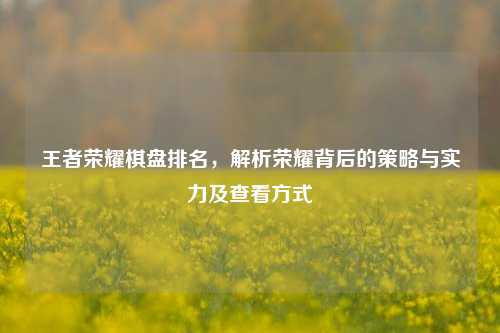 王者荣耀棋盘排名，解析荣耀背后的策略与实力及查看方式