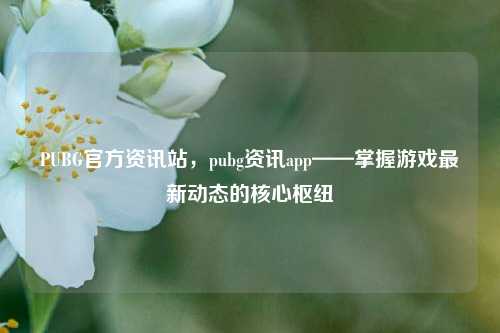 PUBG官方资讯站,pubg资讯app——掌握游戏最新动态的核心枢纽